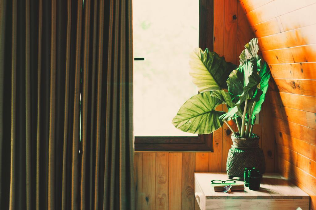 Chay Lap Farmstay Bo Trach Eksteriør bilde