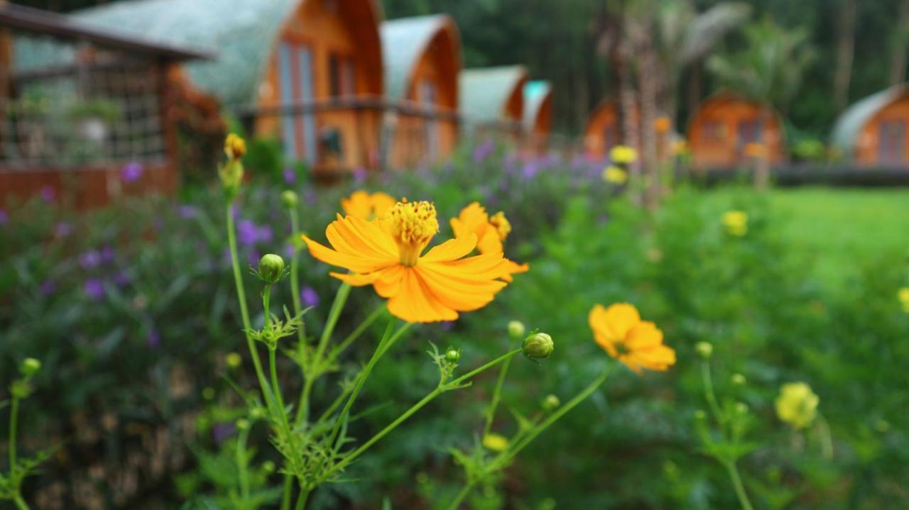 Chay Lap Farmstay Bo Trach Eksteriør bilde